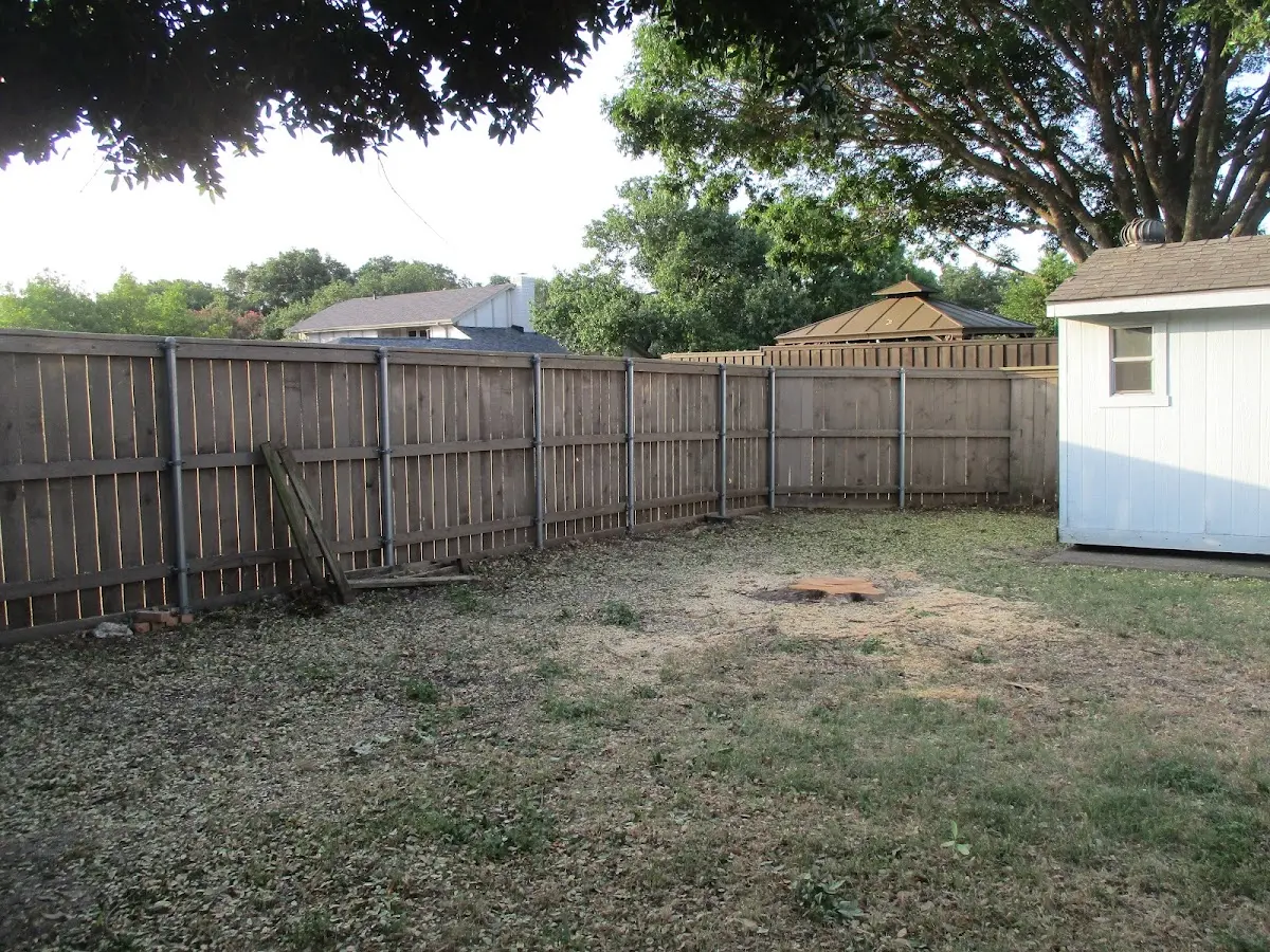 Cleared yard after professional tree removal in Reddick